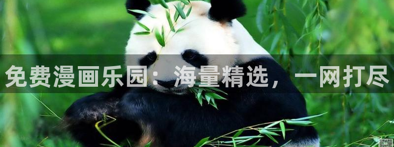 漫画之家网页版入口：免费漫画乐园：海量精选，一网打尽
