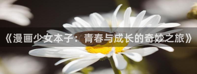 漫画之家怎么用