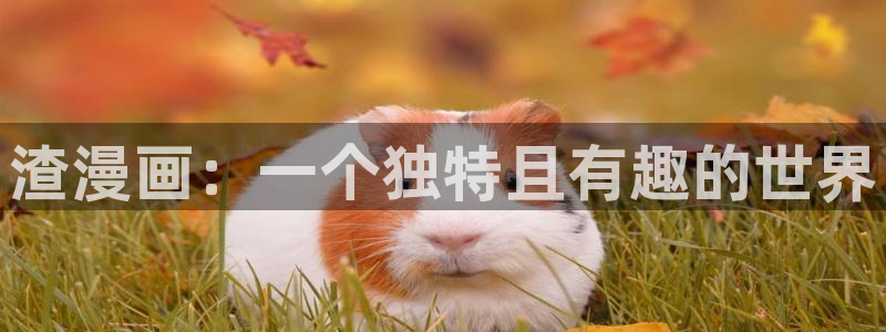 神之塔漫画下拉式免费漫画之家