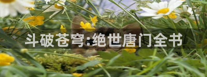 漫画之家官网_漫画之家