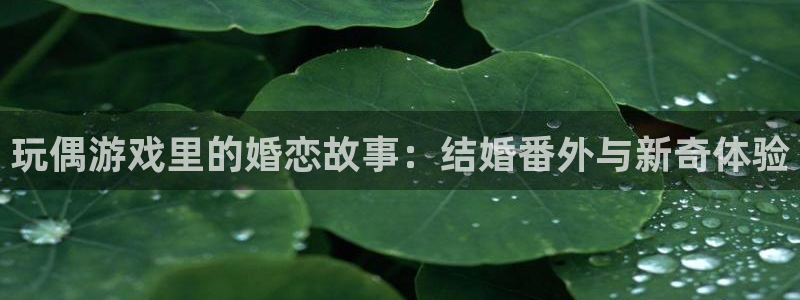 漫画之家在线观看免费：玩偶游戏里的婚恋故事：结婚番外与新奇体验