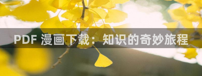 漫画之家韩漫免费：PDF 漫画下载：知识的奇妙旅程