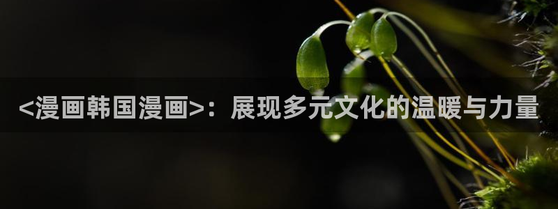 漫画免费观看漫画大全漫画之家：<漫画韩国漫画>：展现多元文化的温暖与力量