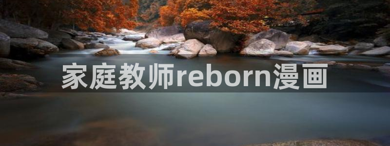 漫画之家1.6.6下载安装：家庭教师reborn漫画