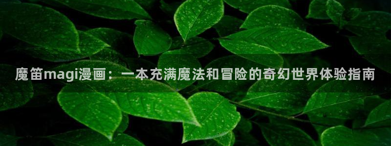神之塔漫画下拉式免费漫画之家：魔笛magi漫画：一本充满魔法和冒险的奇幻世界体验指南