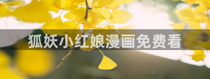 漫画之家怎么用