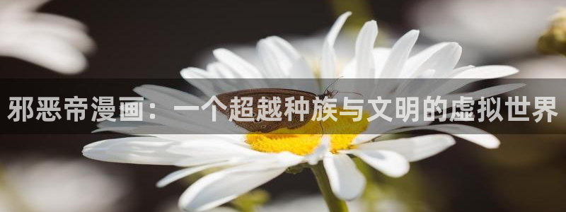 神之塔漫画下拉式免费漫画之家