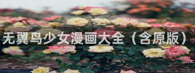 漫画之家2