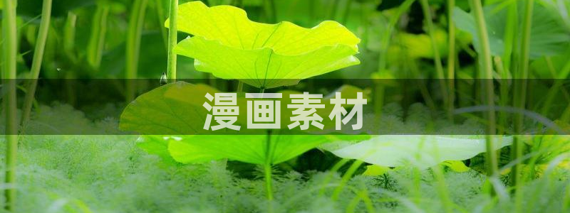 漫画之家_漫画之家韩漫：漫画素材