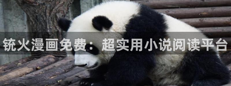 漫画漫画之家：铳火漫画免费：超实用小说阅读平台