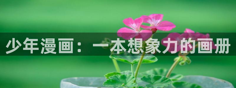 漫画之家：少年漫画：一本想象力的画册