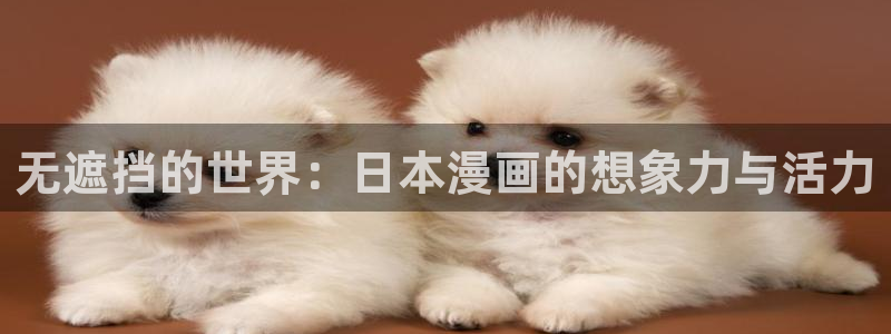 漫画之家免费漫画：无遮挡的世界：日本漫画的想象力与活力