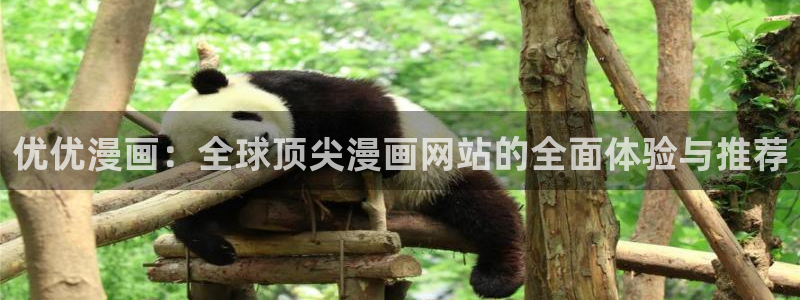 妹子太多而飞升漫画之家：优优漫画：全球顶尖漫画网站的全面体验与推荐