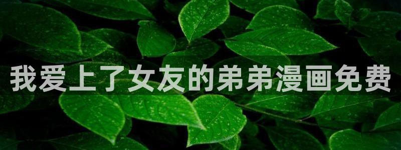 漫画之家韩漫免费观看：我爱上了女友的弟弟漫画免费