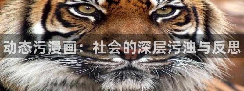 漫画之家官网下载：动态污漫画：社会的深层污浊与反思